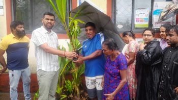﻿St Andre MLA disburses saplings on b'day