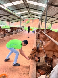 Dr Malik’s Farm: Offering  a slice of organic life