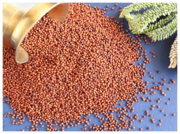 Wake up Goans to ‘Nachni’: Brand millet for today’s nutrition-savvy world