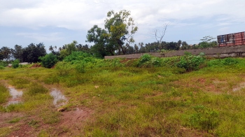 Work on Goa Velha ground comes to grinding halt