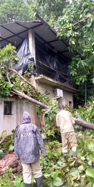 House damaged, numerous trees   uprooted in Bicholim