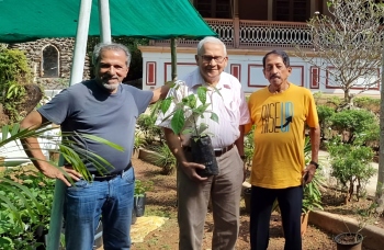 Brazilian, French, Goan connection to promote Tabebuia trees in Goa