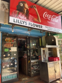 Lilly's Flower: A hidden culinary gem in Caranzalem, where tradition & taste meet