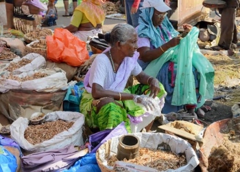 Purumet: An age-old Goan tradition of seasonal stockpiling
