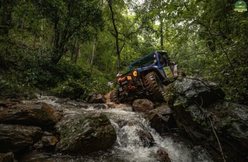 ﻿RFC India adds new categories