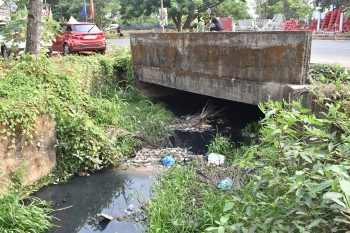 Salpem lake cleanup: No positive change on ground despite court's intervention
