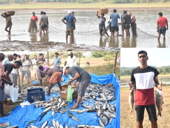 Farmers reap freshwater fish harvest at Maitollem lake, third in a fortnight