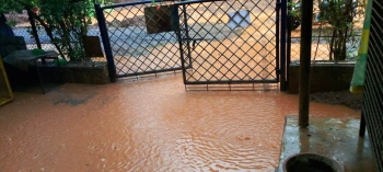 Margao dog shelter affected by floodwaters