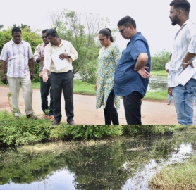 Sewage overflow in Colva fields sparks health concerns