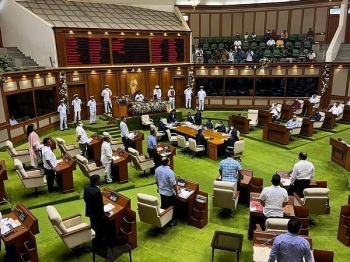 ﻿Constitutional role of the MLA