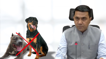 ﻿Goa Cabinet clears Animal Breeding Bill 2025; proposes ban on pitbulls, rottweilers