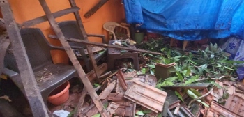 Two injured after tree falls on house in Ponda