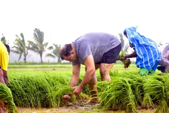 ﻿Khaunte joins farmers in paddy fields at Socorro
