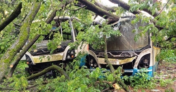 Tree falls on 3 parked KTC buses in Margao at night