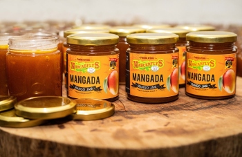 Macarflys: A flavour journey of building a brand in Goa