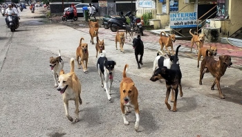 ﻿Turning our back on the voiceless