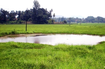 ﻿Salpem lake pollution: HC closes PIL with strong court directives