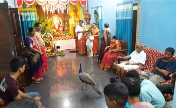 Peacock stuns devotees during Puja