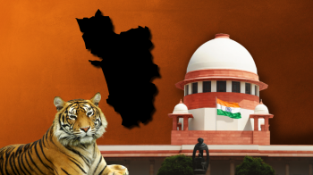﻿SC stays development in Goa’s Mhadei WLS & its surrounding
