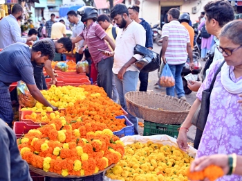 Despite cheaper imports, Goan marigolds hold festive charm