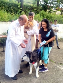 Blessings & wagging tails at Chicalim’s pet blessing for fifth straight year