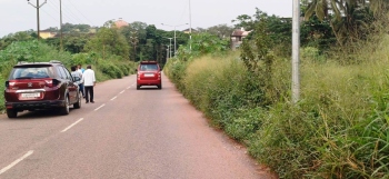 Who will clear the bushes? Key road  stretch in Margao left neglected