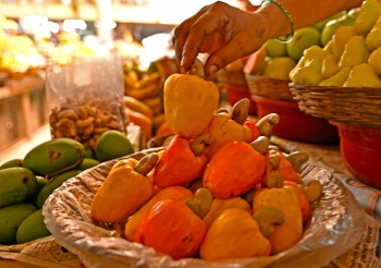 Cracking the shell: How Goa is reviving its iconic cashew legacy
