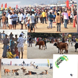 Illegal hawkers and strays overrun Colva beach