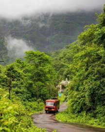 The tale of a missing farmer