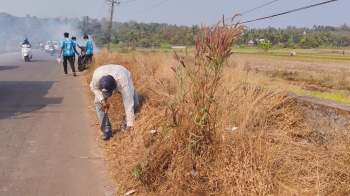 Local youth step in to clean Moira footpath