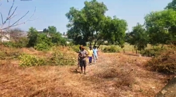 Sand dune clearance sparks fresh concerns in Sernabatim