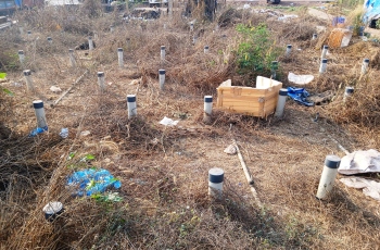 Revamped fish market set to open; key issues unresolved