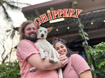 Chippery: Where an Australian classic blends with Goan seafood culture
