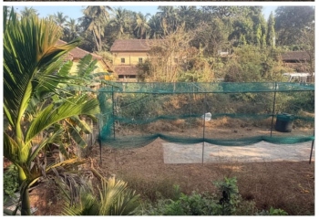 New cricket pitch inaugurated at Colvale to nurture talent