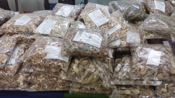 Tribal herbal brews steal spotlight at Lokotsav