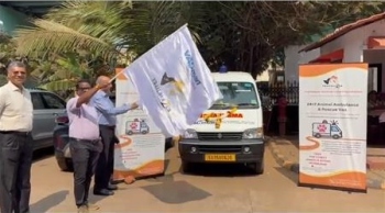 Mormugao takes a ‘big’ leap in street animal welfare