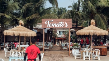 Morjim nightclub near turtle nesting site shut, fined Rs 21L for violations