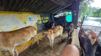 Sattari bus shelters in disrepair,   commuters urge swift repairs