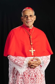 WAR IN MIDDLE EAST | Cardinal Ferrão appeals for prayers, penance in churches across India