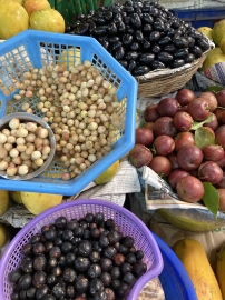 Goa’s juicy secrets: Celebrating the fruits of summer