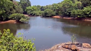 TRAGEDY STRIKES  CANACONA, TWO   MINORS DROWN