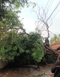 Left behind in infra upgrade, Velim battles power woes