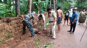 Panic in Balli as crocodile enters residential area
