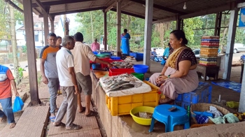 Fish vendors return to old fish market in Sanguem
