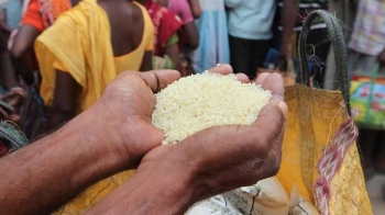 ﻿Does 'plastic rice' really exist?