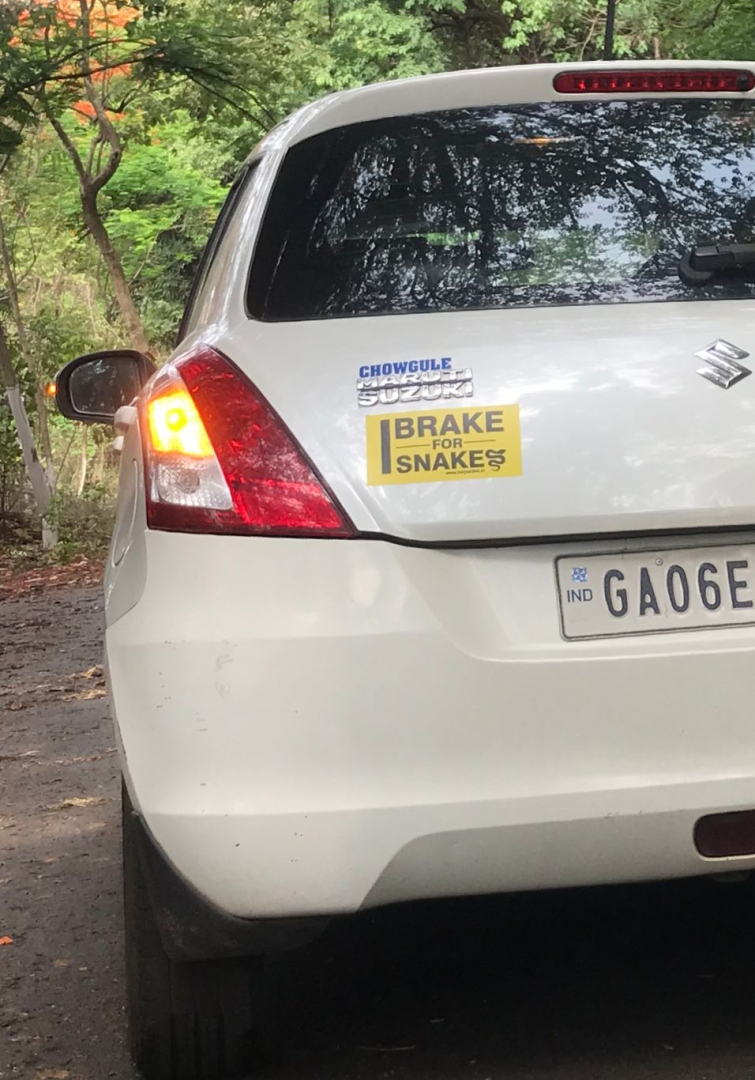 ﻿﻿Campaign launched to reduce road kills of snakes in State