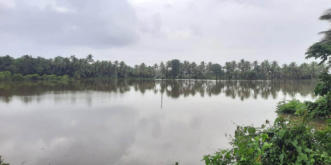 A FLOOD OF WORRIES FOR SERAULIM LOCALS