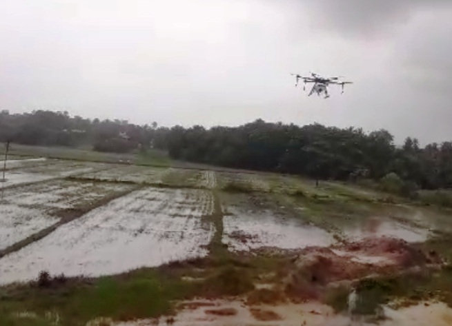 Drones spray weedicides on paddy fields at Salpem lake