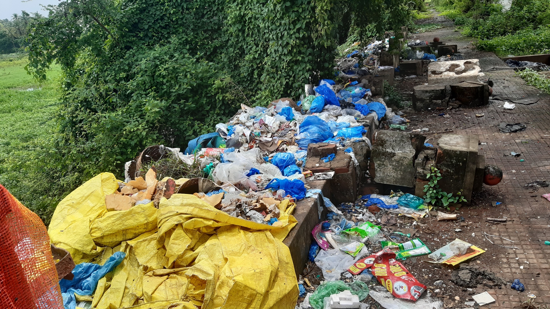 SGPDA retail fish market comes under HC scanner