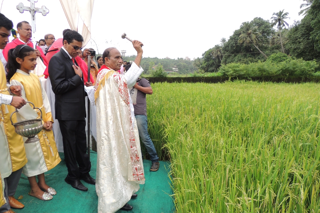 ﻿Historic harvest feast of Taleigao: Rituals of the 4-day Novidade